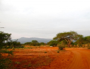 Ngutuni Safari Lodge