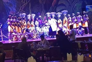 Nachtleven in Nairobi & Safari Park Dinner