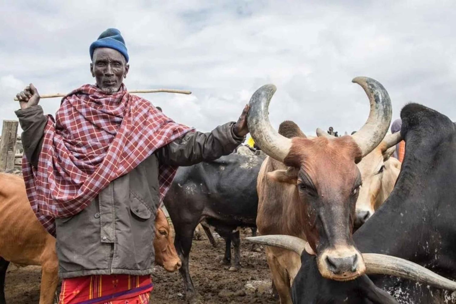 Nyahururu: Rumuruti livestock market visit with local guide