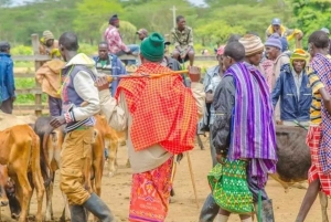 Nyahururu: Rumuruti livestock market visit with local guide