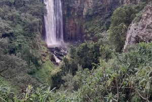 Nyahururu: wycieczka z przewodnikiem do wodospadu Thompson Falls z obserwacją dzikich zwierząt