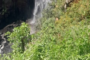 Nyahururu: wycieczka z przewodnikiem do wodospadu Thompson Falls z obserwacją dzikich zwierząt