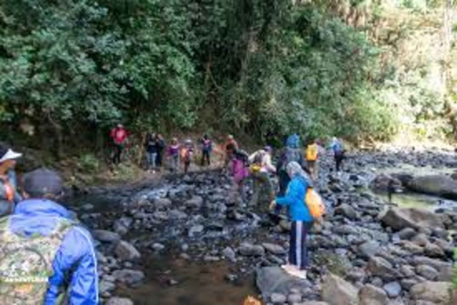 Nyandarua: Klangbad und Wanderung im Kipipiri-Bambuswald
