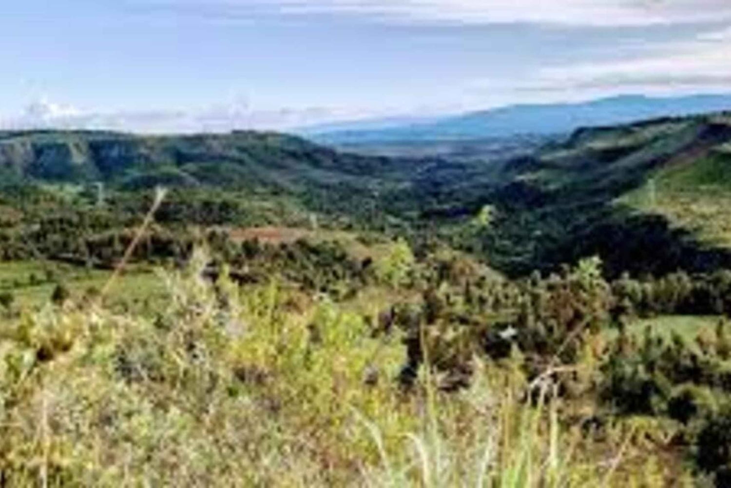 Nyandarua: Klangbad und Wanderung im Kipipiri-Bambuswald