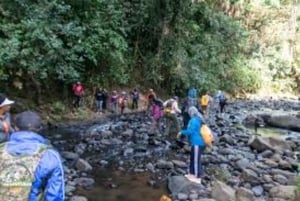 Nyandarua: Klangbad und Wanderung im Kipipiri-Bambuswald