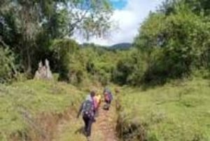 Nyandarua: Klangbad und Wanderung im Kipipiri-Bambuswald