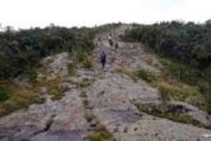 Nyandarua: Klangbad und Wanderung im Kipipiri-Bambuswald