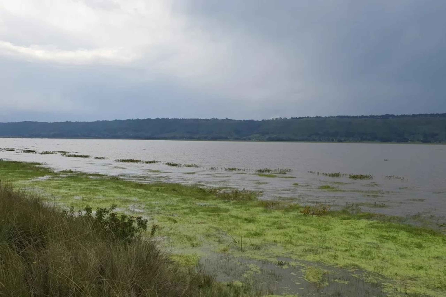 Nyandarua: Fuglekigge- og kanotur på Lake Ol Bolossat