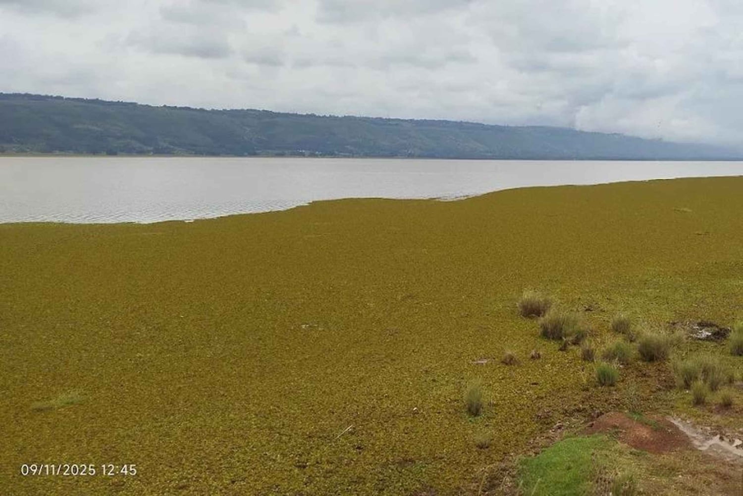 Nyandarua: Fuglekigge- og kanotur på Lake Ol Bolossat