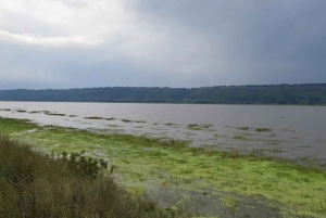 Nyandarua: Fuglekigge- og kanotur på Lake Ol Bolossat