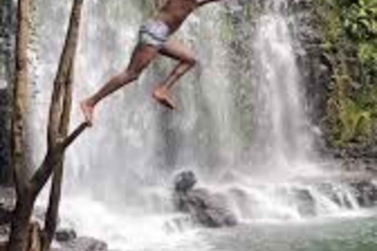 Nyeri: Guidet tur til Kerurumo-vandfaldene med picnic