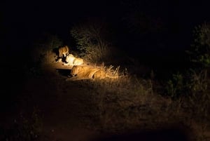 ナイロビ発：オル・ペジェタ保護区への2日間1泊サファリ