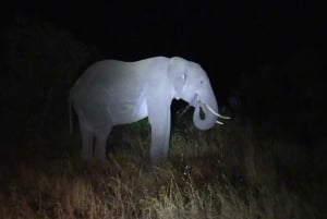 ナイロビ発：オル・ペジェタ保護区への2日間1泊サファリ