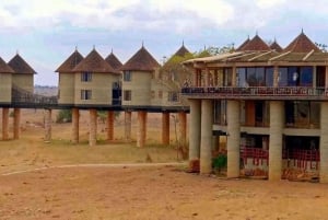 Safari con pernottamento a Saltlick da Mombasa/Diani