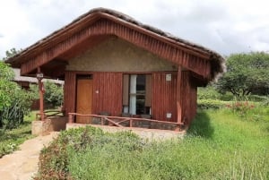 Overnight Group Joining Safari to Amboseli from Nairobi