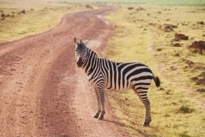 Overnight Group Joining Safari to Amboseli from Nairobi