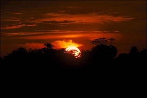 Von Nairobi aus: 2 Tage Safari zum Amboseli National Park