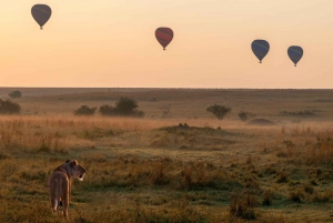 Yöpyminen Maasai Maran budjetissa Yksityinen safari