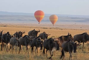 Privat safari med overnatning til Masai Mara fra Nairobi