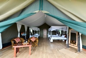 Privat safari til Masai Mara med overnatning