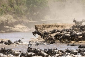 Overnight Private Safari To Masai Mara