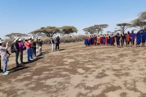 Privésafari met overnachting naar Masai Mara