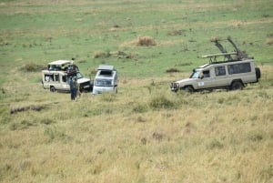 Overnight Private Safari To Masai Mara