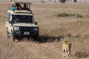 Overnight Private Safari To Masai Mara