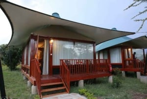 Privat safari med overnatting til Masai Mara