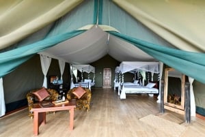 Safari privado com pernoita em Masai Mara
