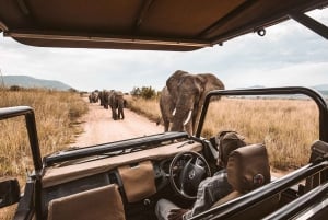 Safari med overnatning i Amboseli National Park