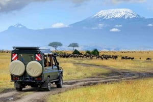 Safari med overnatting i Amboseli nasjonalpark