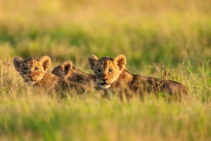 Safari z noclegiem w Parku Narodowym Amboseli