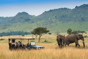 Safari con pernottamento nel Parco Nazionale di Amboseli