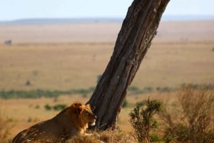 Overnight Safari to Amboseli