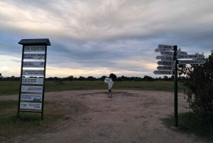 Overnight Safari to Olpejeta Conservancy and Mount Kenya.