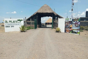 Overnight Safari to Olpejeta Conservancy and Mount Kenya.