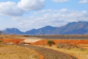 Safari med overnatning til Saltlick Safari Lodge fra Mombasa/Diani