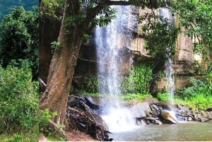 Nocne safari na wzgórza Shimba z Mombasy