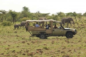 Safari mit Übernachtung in Tsavo Ost von Diani Beach aus
