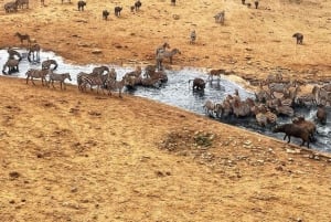 Safari mit Übernachtung in Tsavo Ost von Diani Beach aus