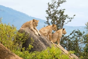 PRIVATE OVERNIGHT TSAVO EAST SAFARI FROM MOMBASA OR DIANI