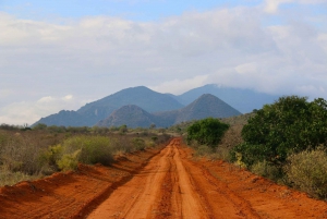 Overnight safari to Tsavo East from Mombasa