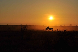 Yön yli kestävä safari Tsavo Eastiin Mombasasta käsin