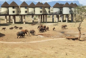 Yöpyminen suolapalasafarilla Mombasasta käsin
