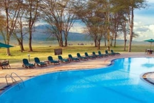 Salt Lick Safari med overnatting fra Mombasa