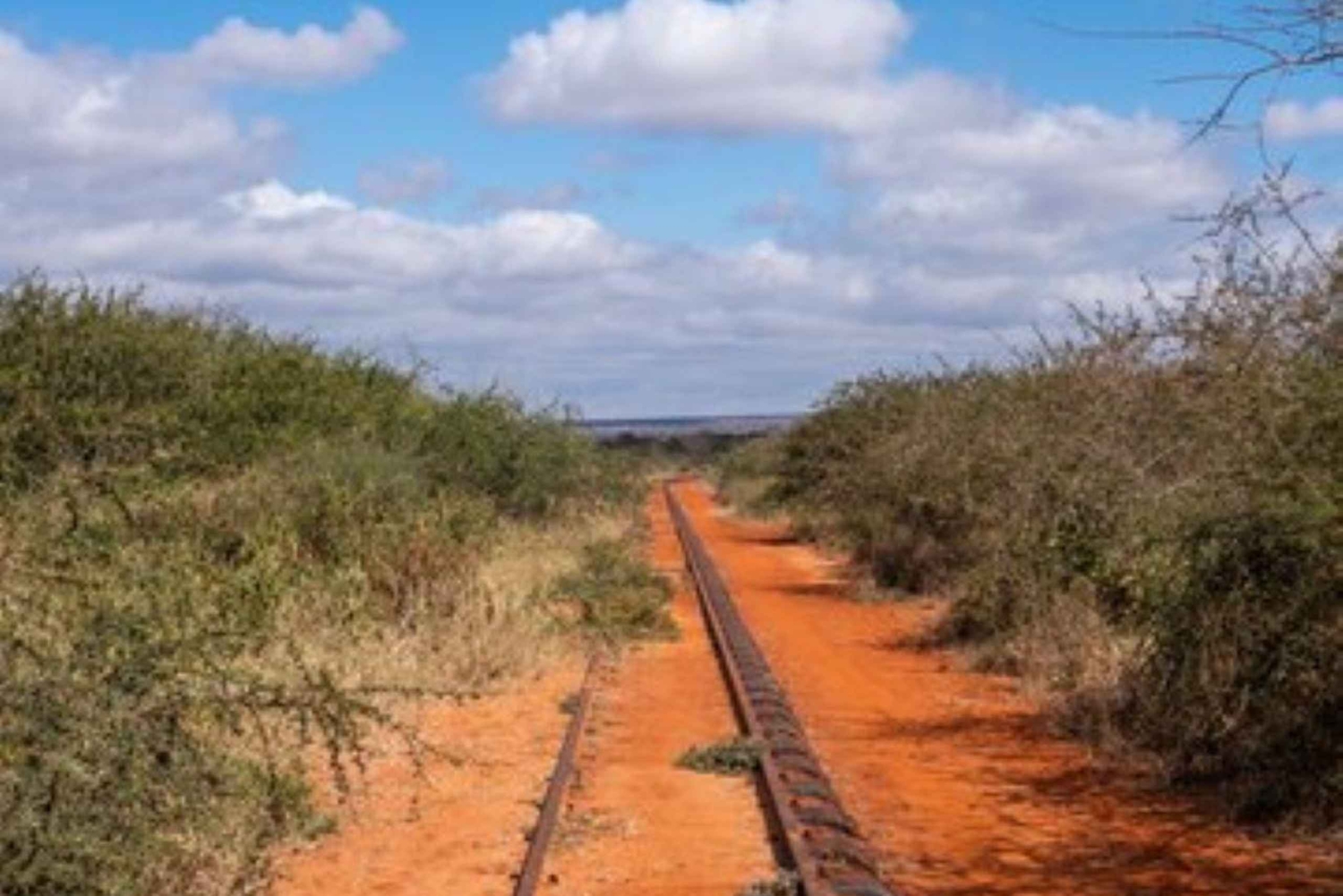 Pernottamento a Tsavo Est da Mombasa/Diani