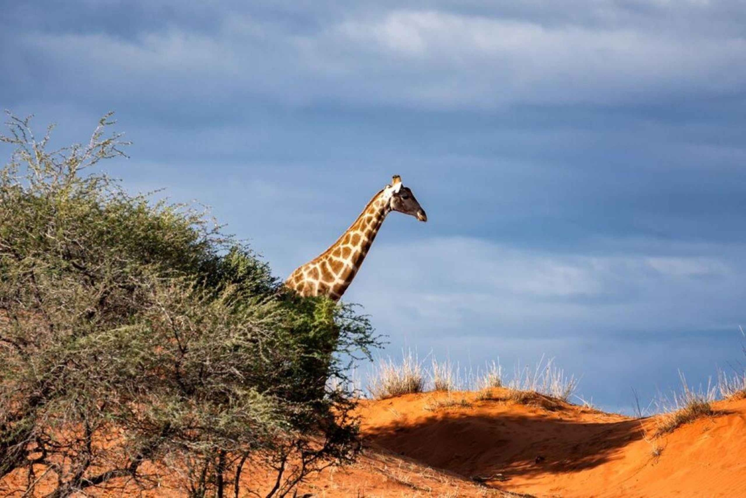 Pernottamento a Tsavo Est da Mombasa/Diani