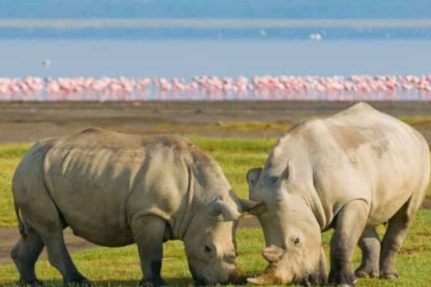 Excursion d'une journée au lac Naivasha et au parc Hells Gate depuis Nairobi