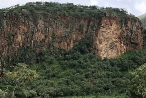 Excursion d'une journée au lac Naivasha et au parc Hells Gate depuis Nairobi